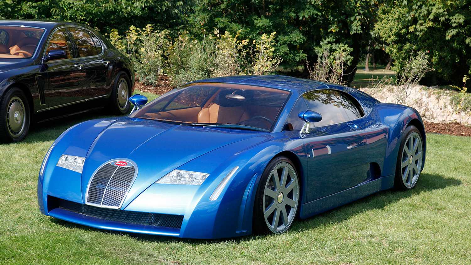 威龙上市纪念版红酒价格__威龙上市纪念版