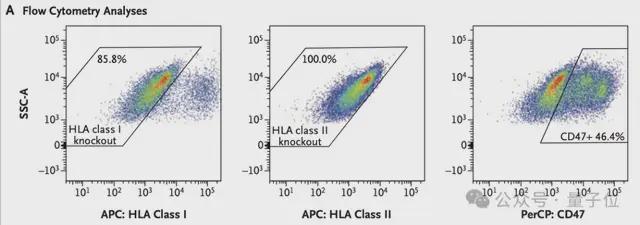 分泌胰岛素的细胞__胰岛细胞中与胰岛素