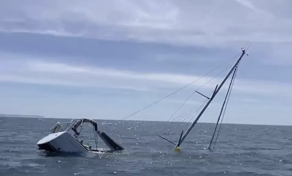 葡萄牙海域惊现虎鲸袭击观光船，科学家揭开虎鲸袭击船只原因，称“它们只是在玩耍”