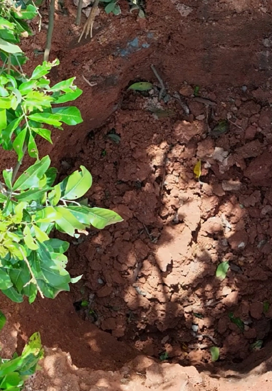 陨石猎人寻获423kg陨石：每年投入十几万，无法全部捐献被误解为谋私利