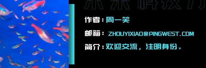 黑客的标准__黑客技术人员