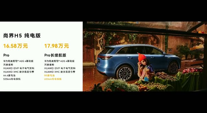 _新车买什么保险便宜_e100智行版和智享版