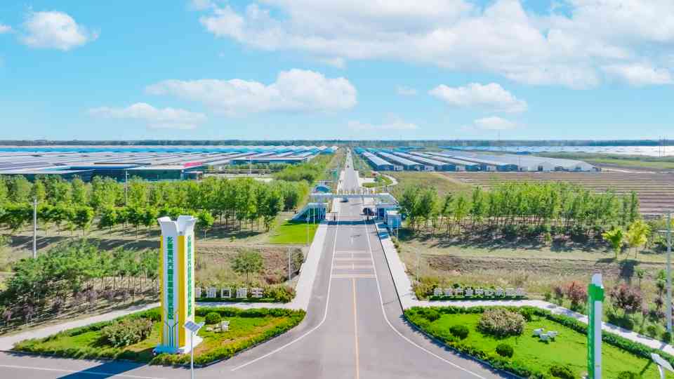 聚力普惠 数智赋能——东营银行书写服务实体“地方答卷”__聚力普惠 数智赋能——东营银行书写服务实体“地方答卷”