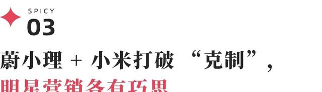 别再聊产品力了，理想汽车已经All in玄学-有驾