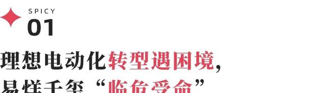 别再聊产品力了，理想汽车已经All in玄学-有驾