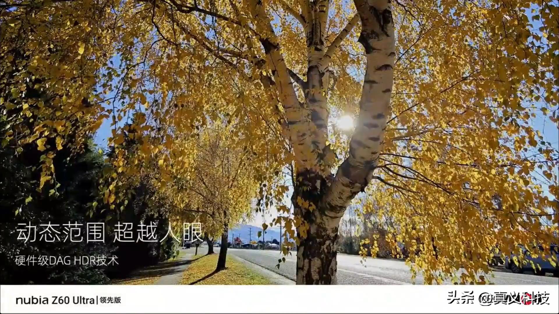 索尼最新相机传感器_索尼手机相机传感器型号大全_