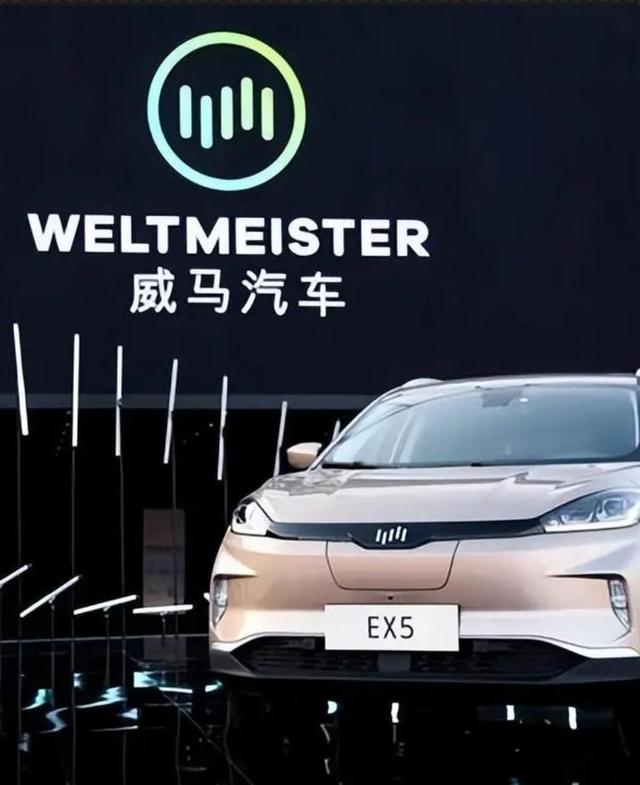 新能源“烂尾”车越造越多！百万名车主，修车无门还遭随意宰-有驾