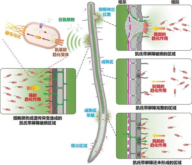 5年登上《科学》封面！这位上海青科没缺过钱，靠的是什么？_5年登上《科学》封面！这位上海青科没缺过钱，靠的是什么？_