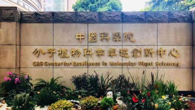 获科学泰斗点赞，上海这家研究所为何是“世界一流”__获科学泰斗点赞，上海这家研究所为何是“世界一流”