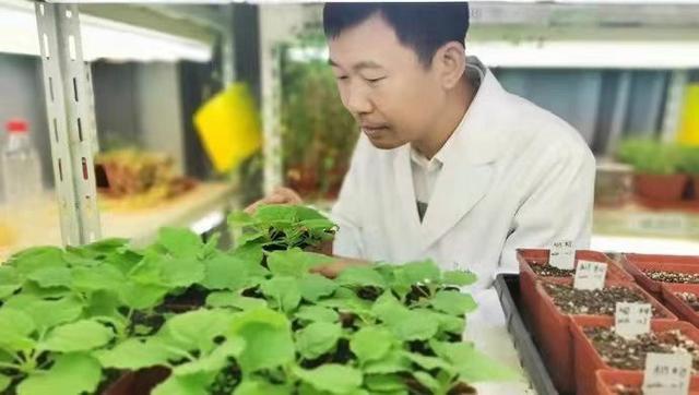 _获科学泰斗点赞，上海这家研究所为何是“世界一流”_获科学泰斗点赞，上海这家研究所为何是“世界一流”