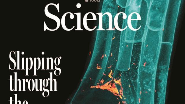 揭开“隐秘的地下互动”，中瑞科学家绘制根系微生物“定居地图”