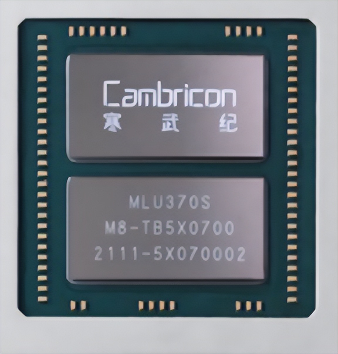 _突围的原型企业_突围真实企业