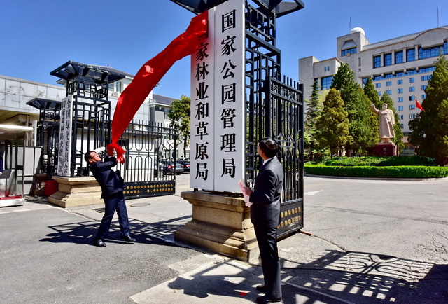 中央释放重要信号最新__指标分析中的重要信号