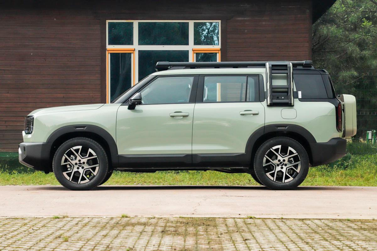 _500部值得珍藏的电影_紫藤家园冲vip值得吗