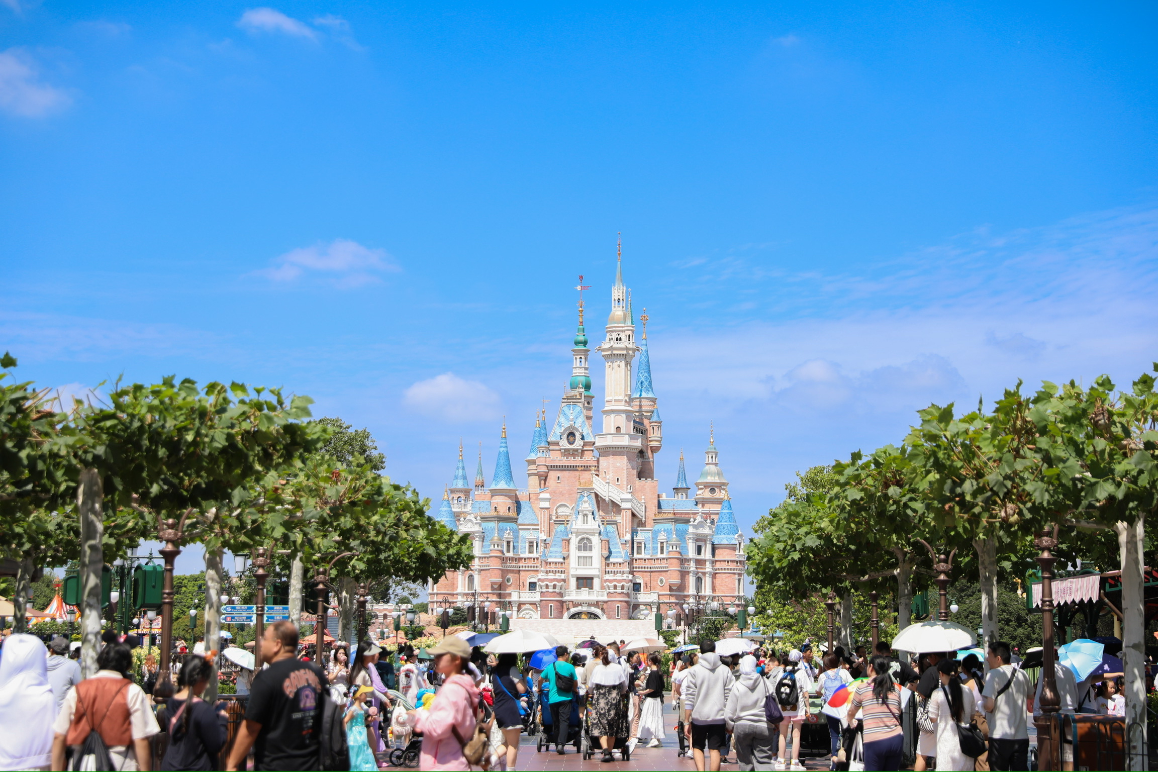 _上海旅游人次统计_上海接待游客人数