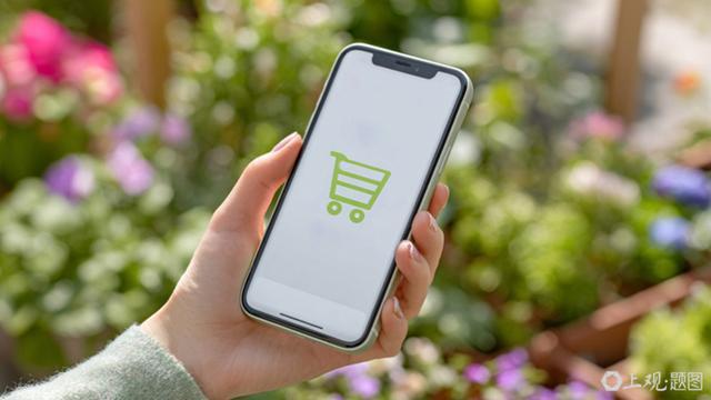 “双11”再破历史纪录，今年或将迎来十年最大转型风口