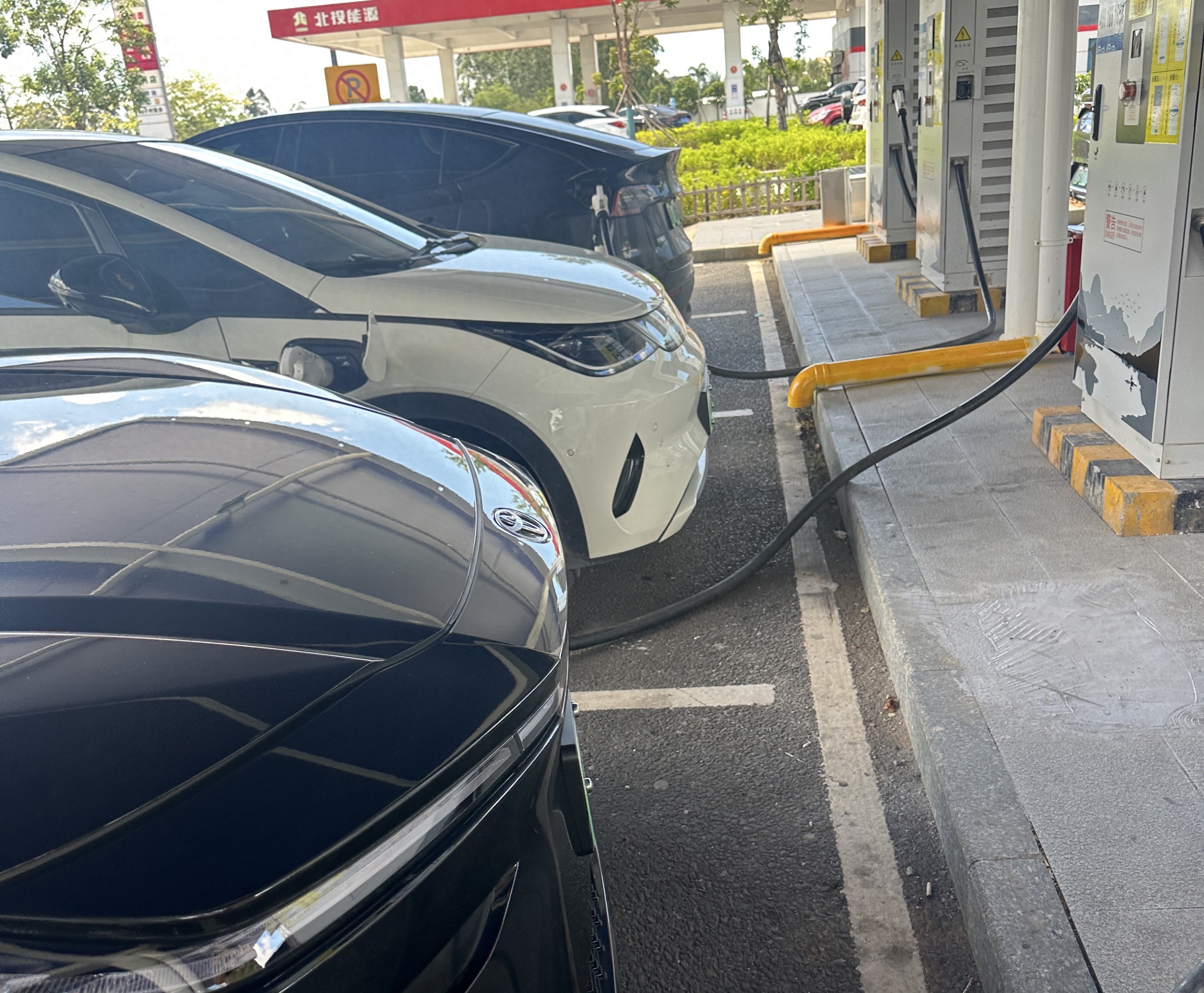 换电车3年后，才知道关于电车的“谣言”有多离谱！告诉你真相