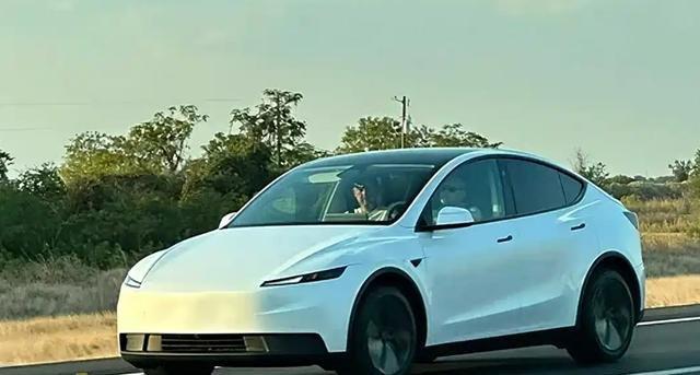 特斯拉的精准一刀，Model Y Standard曝光，3