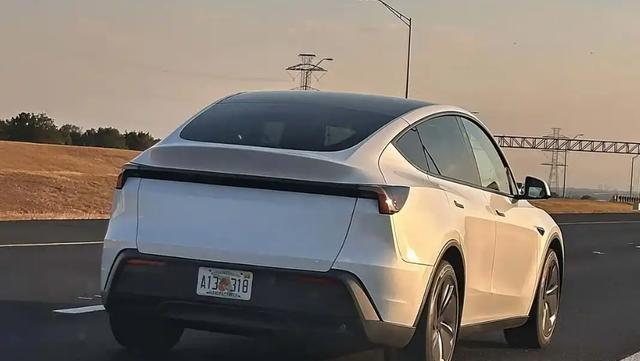 特斯拉的精准一刀，Model Y Standard曝光，3-有驾