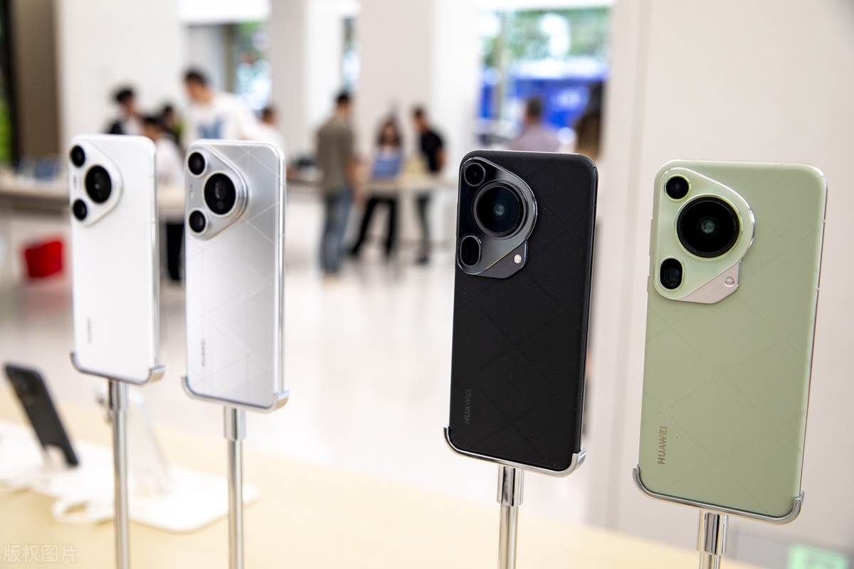 海洋领域核心期利_幼儿音乐领域核心价值_