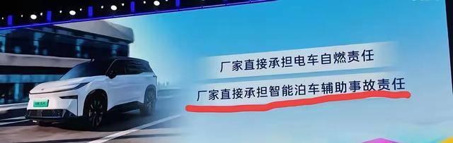 智能泊车兜底是商业策略还是技术突破-有驾