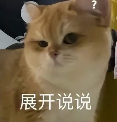 上海推出老年专版健康码__网络聊多久会聊出感情