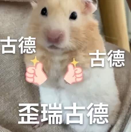 上海推出老年专版健康码_网络聊多久会聊出感情_