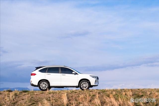 调表车如何查询?3种检测方法教你如何查询调表车,一起来看看!