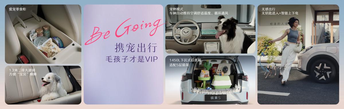 _缤纷30元特惠_正式开票和预售的区别