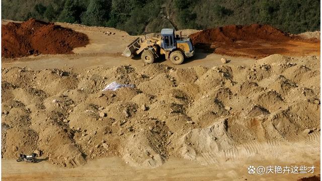 荷兰政府想夺权安世,东莞工厂直接断供,欧洲车企全傻眼-有驾