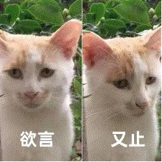 量子计算和量子信息__薛定谔的猫-玄奥的量子世界