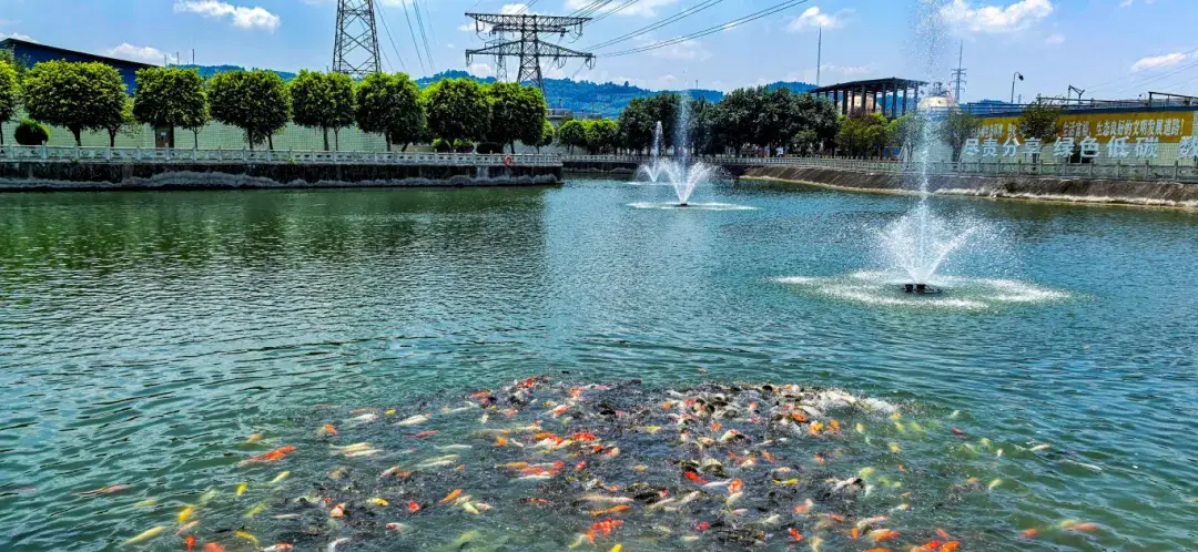 中国化工转型发展_南京化学工业园区产业转型_