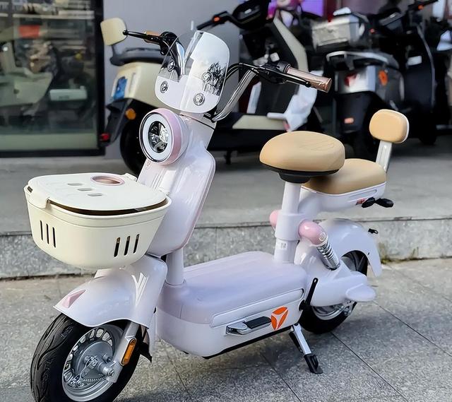 48V24Ah电池标100公里实测不到65？三辆新国标车骑了半年，那次从回龙观到中关村12公里直接耗掉70%的电-有驾