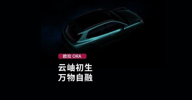 长城欧拉首款纯电SUV定名“欧拉5”-有驾