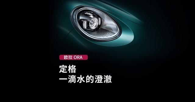 长城欧拉首款纯电SUV定名“欧拉5”-有驾