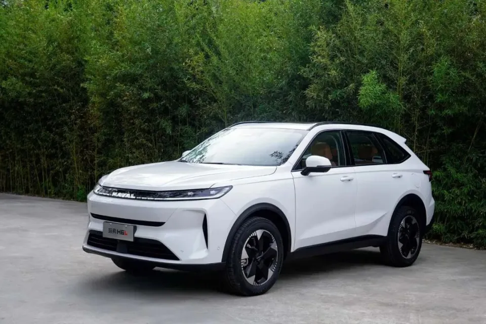 2.0T发动机，每公里5毛钱？国民SUV在此刻具象化了