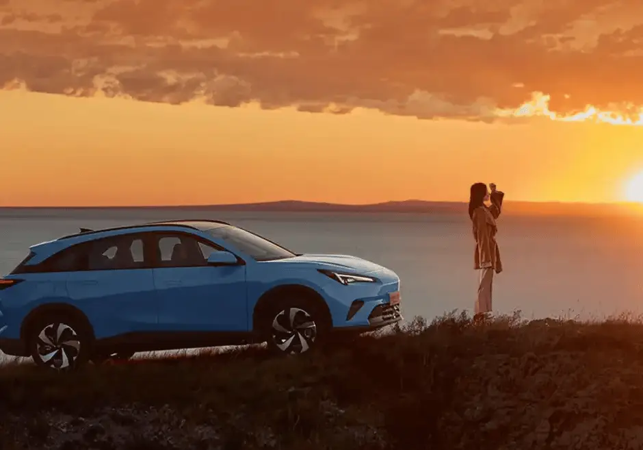 狐狐狐lofter_狐獴秒懂百科_