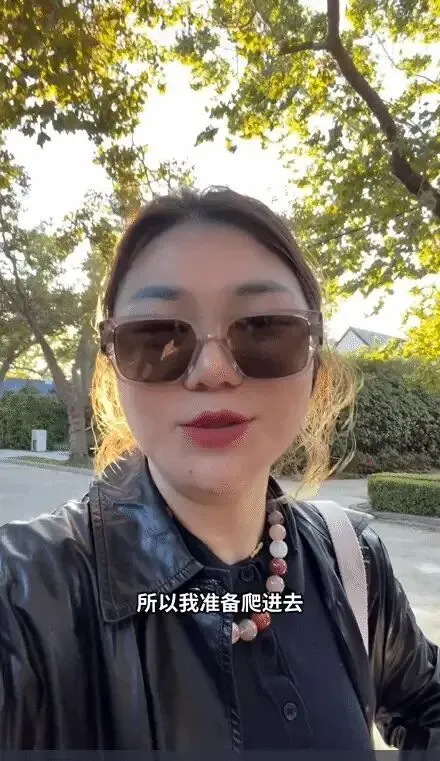 杨天真吐槽“特斯拉打不开车门，只能从后备箱爬进去”，客服回应