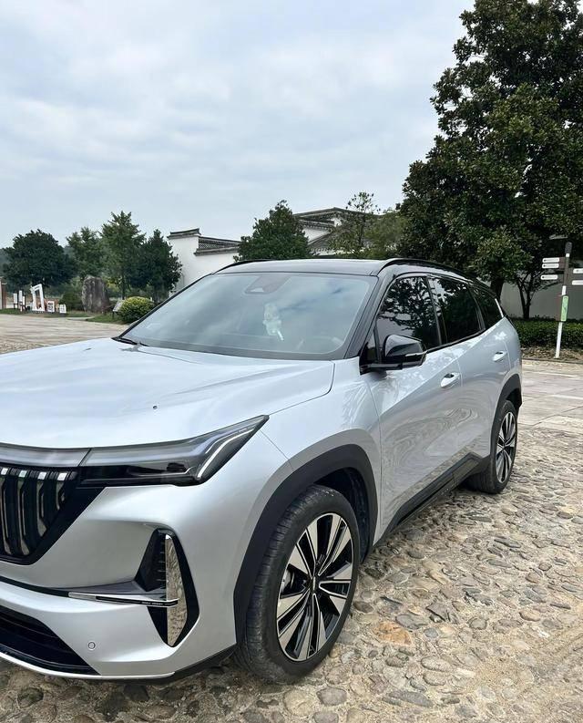 吉利博越L车主交流：这款车的实际入手价格-有驾