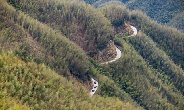 个人建议：家庭用车，就选大众，要么大众帕萨特，要么大众途观，要么大众途昂Pro，凭借稳定安全省油省心的表现成为众多家庭首选-有驾