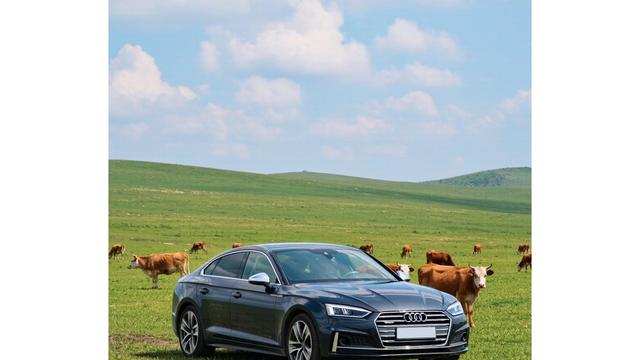 奥迪A5烧机油，开进维修间，科学养护能解决-有驾