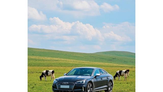 奥迪A5烧机油，开进维修间，科学养护能解决-有驾