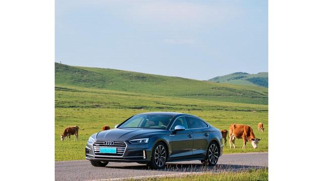 奥迪A5烧机油，开进维修间，科学养护能解决-有驾