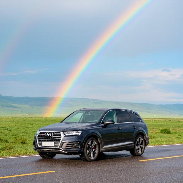 奥迪Q6发动机烧机油先别大修-有驾