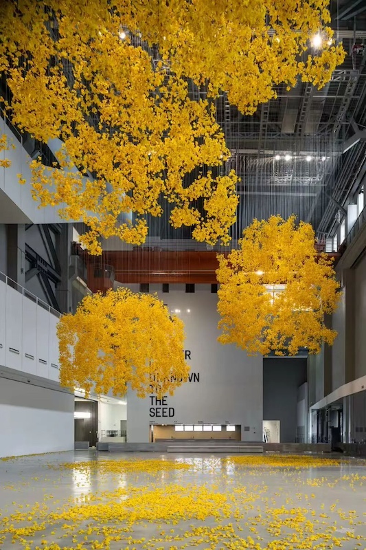 花儿听到蜜蜂了吗？上海双年展邀请观众聆听万物的声音