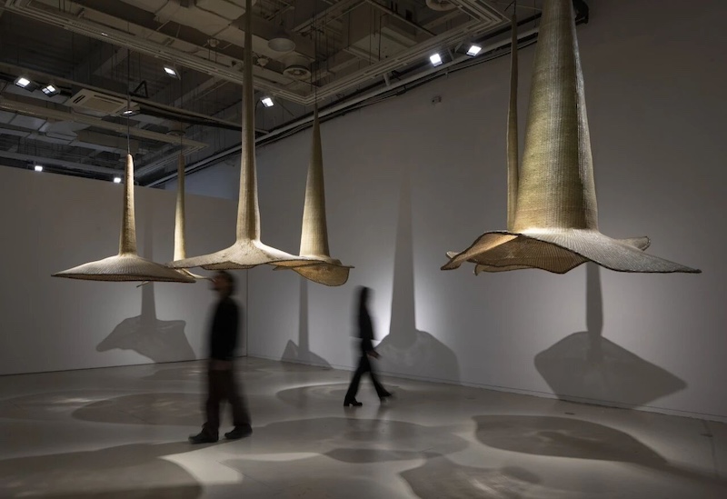 _蜜蜂听见花开的声音它会怎么样_蜜蜂和花儿音乐