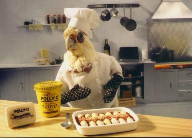 狗也被AI抢饭碗？好莱坞动物演员全下岗，观众直接翻脸了！__狗也被AI抢饭碗？好莱坞动物演员全下岗，观众直接翻脸了！