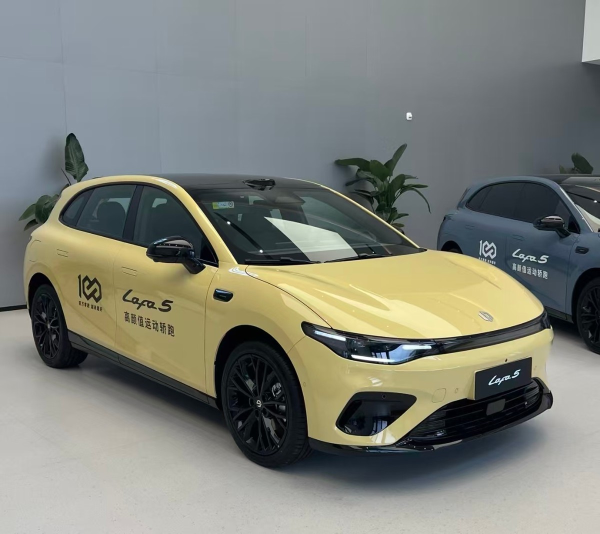 新车即将上市车型__新车型上市