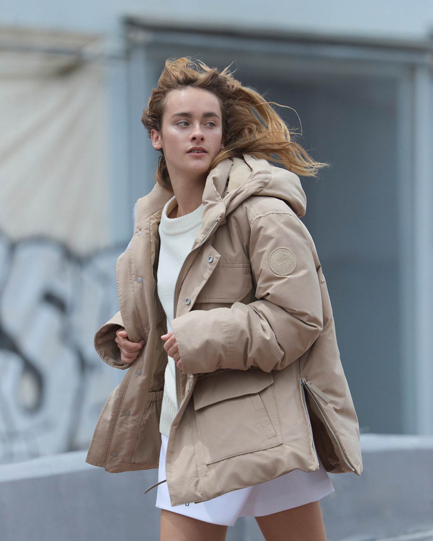 _鹅在加拿大受保护吗_加拿大鹅会过时吗