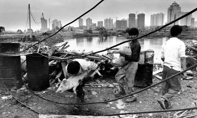 广东科技比赛__广东科技学院运动会